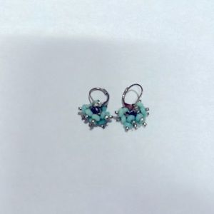 Pretty silver Earrings